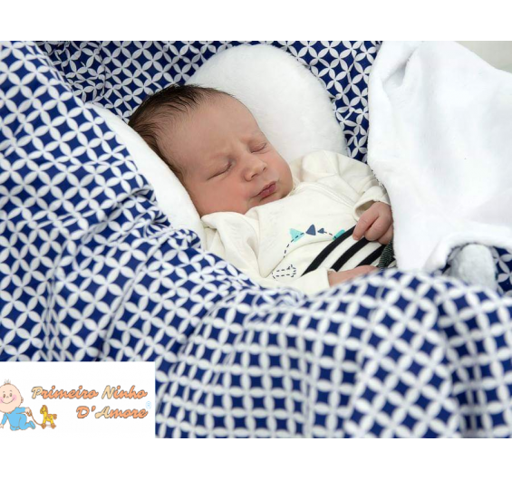Almofada de suporte para recém-nascido ( cadeira de bebe , ovo) 